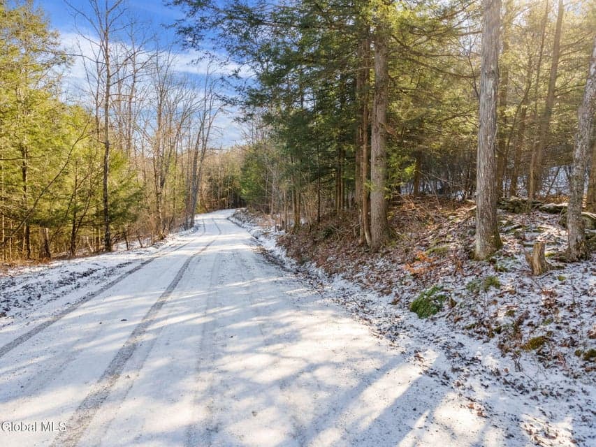 163 Armlin Road, Broome, NY, photo 5