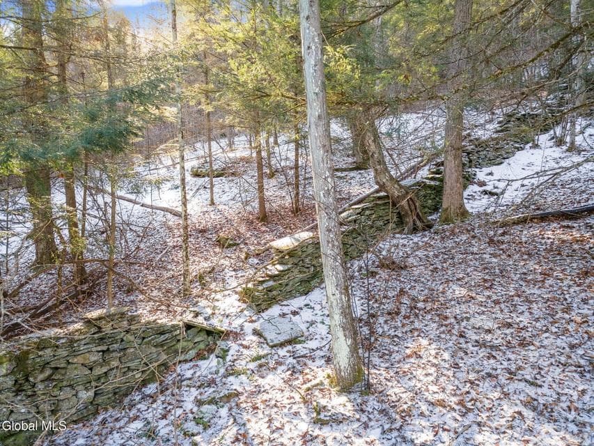 163 Armlin Road, Broome, NY, photo 3