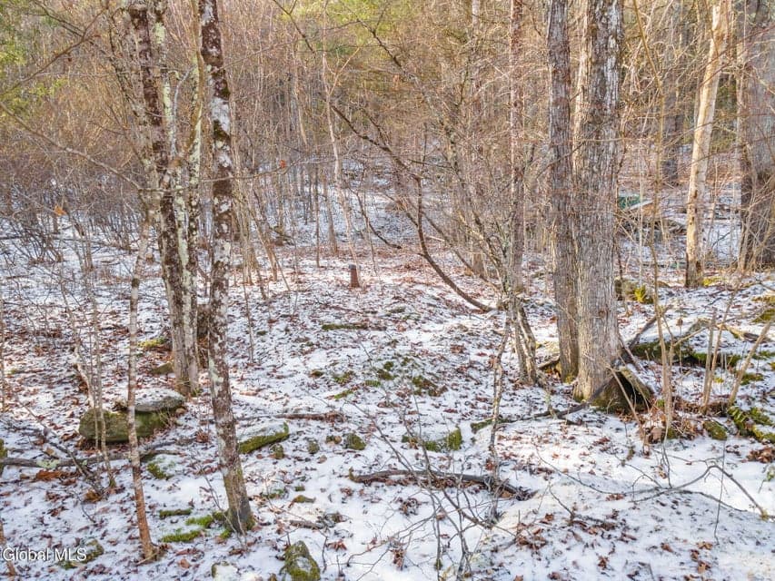 163 Armlin Road, Broome, NY, photo 4