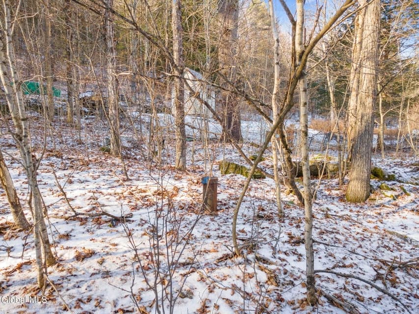 163 Armlin Road, Broome, NY, photo 2