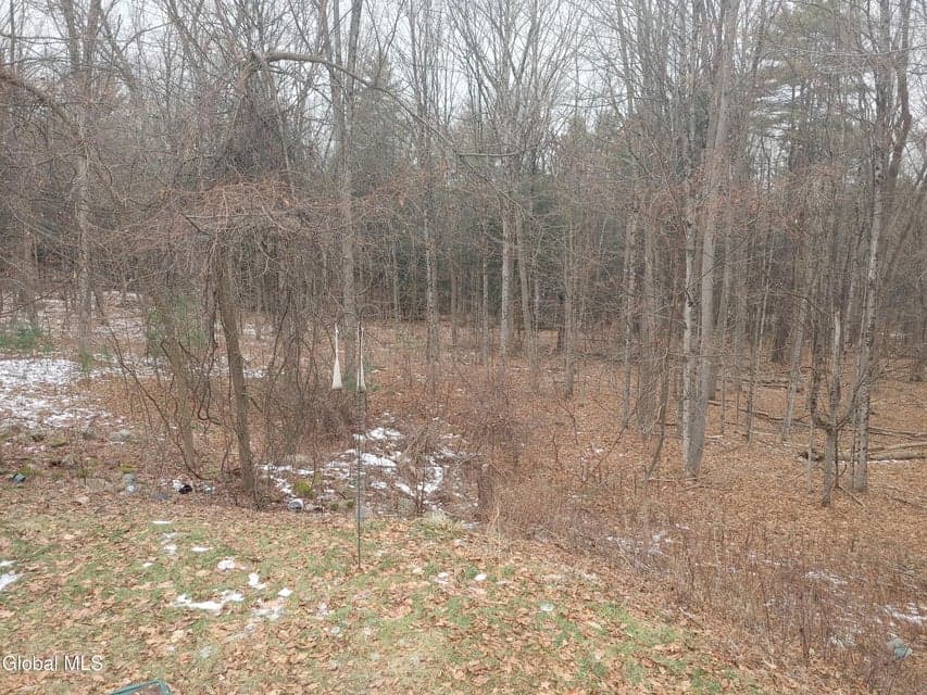 413 Liddle Harris Road, photo 5