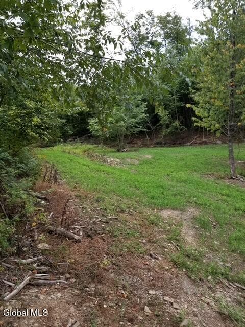 L26 Lily Pond Road, photo 3