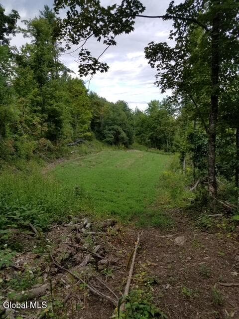 L26 Lily Pond Road, photo 4