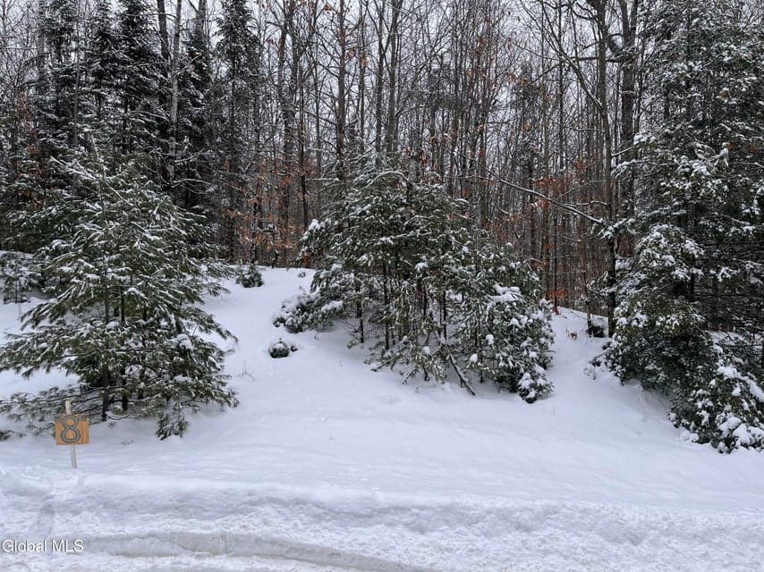 8 Mountain Path, photo 4
