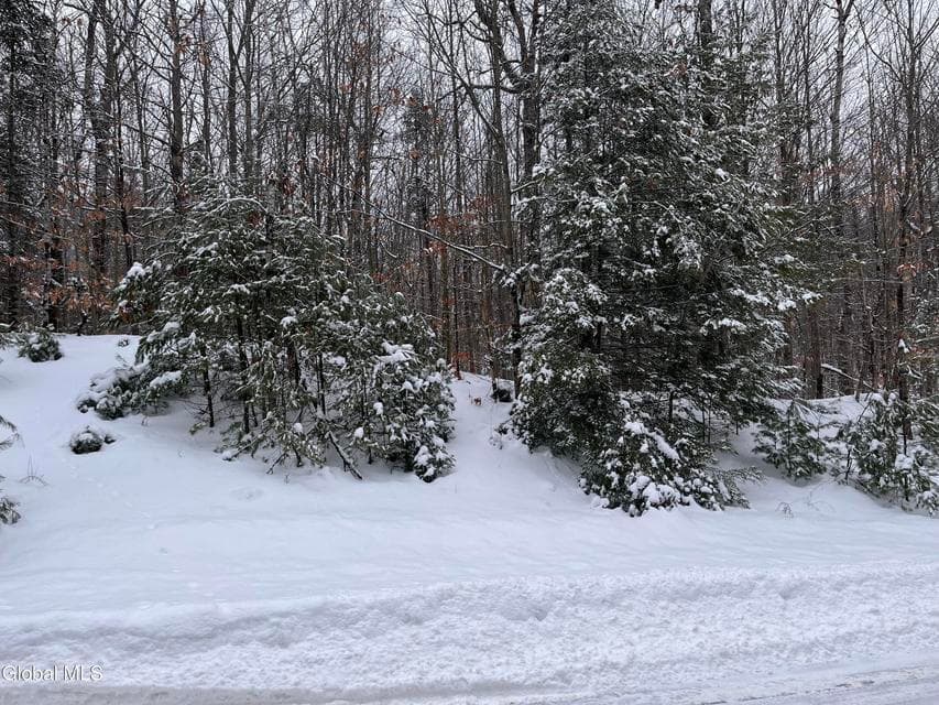 8 Mountain Path, photo 5