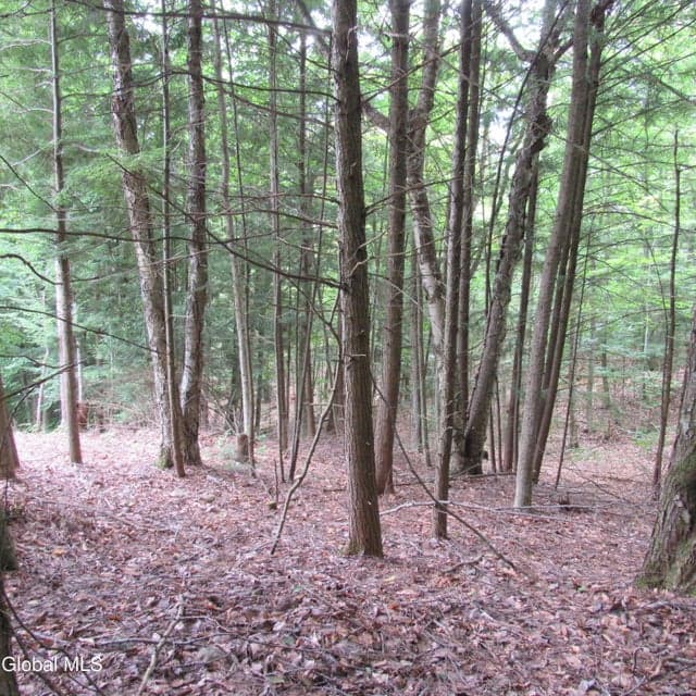 L2 Palmer Priv Lane, photo 2