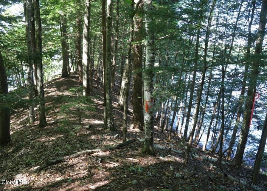 36 Fuller Drive, photo 4