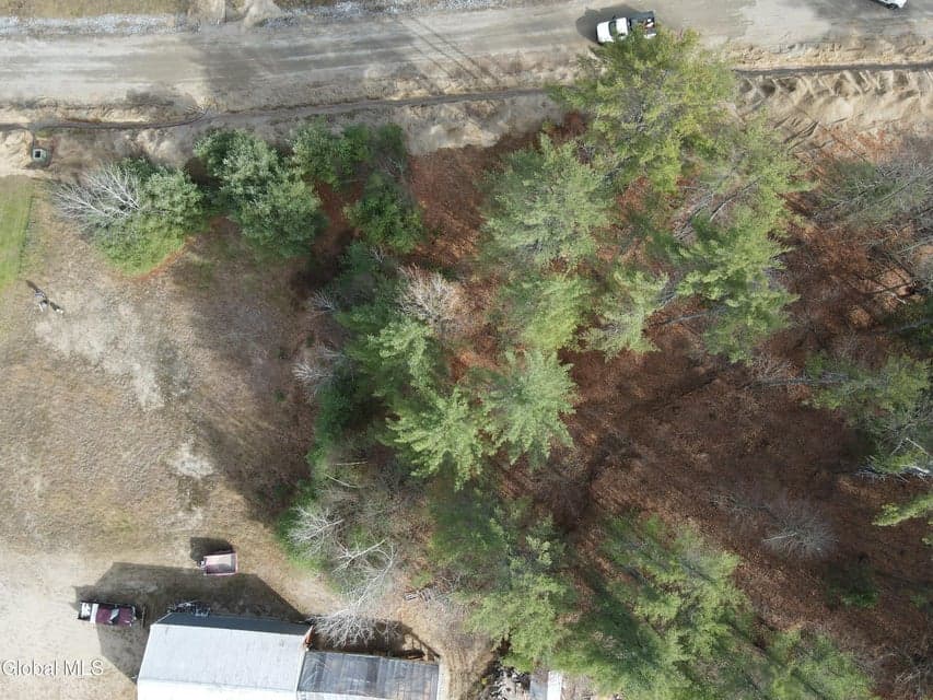 8 Brant Lake Creek Road, photo 4