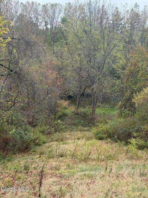 3638 State Route 29, photo 2