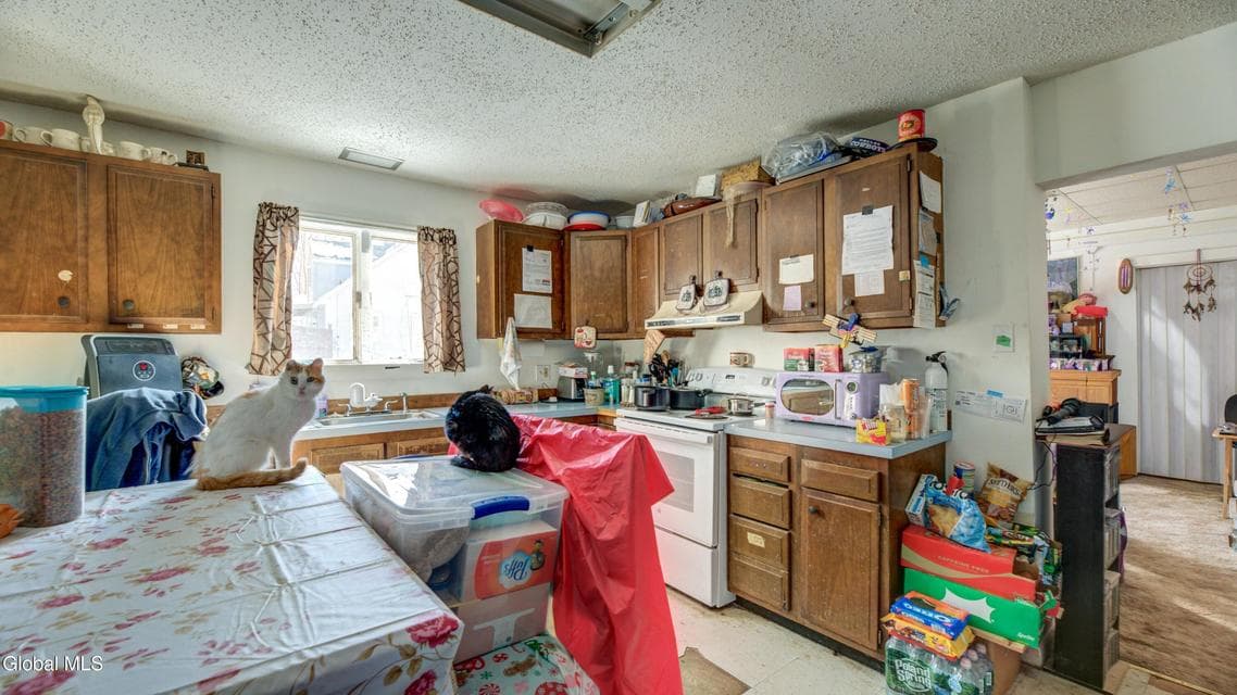85 Fairview Place, photo 3