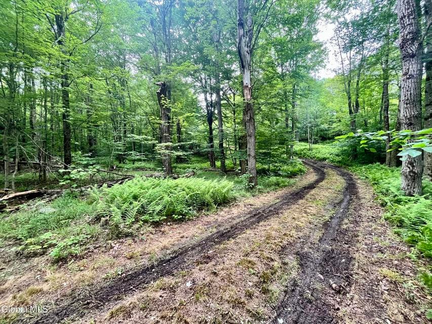 2285 State Route 10, photo 2