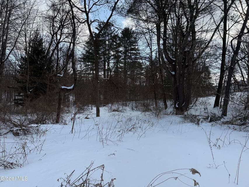 L 45.5 S Hollywood Avenue Avenue, Gloversville, NY, photo 1