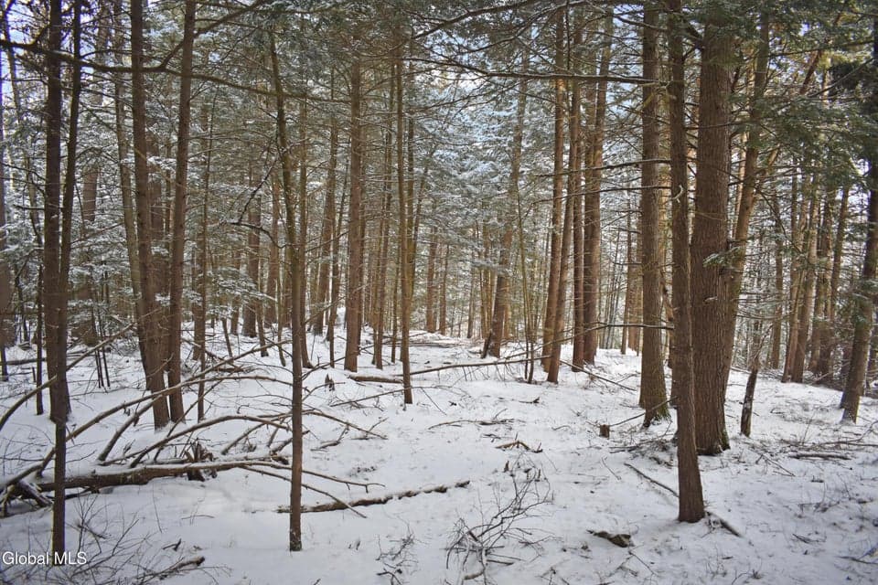 20 Carriage Knolls Road, Chester, NY, photo 5