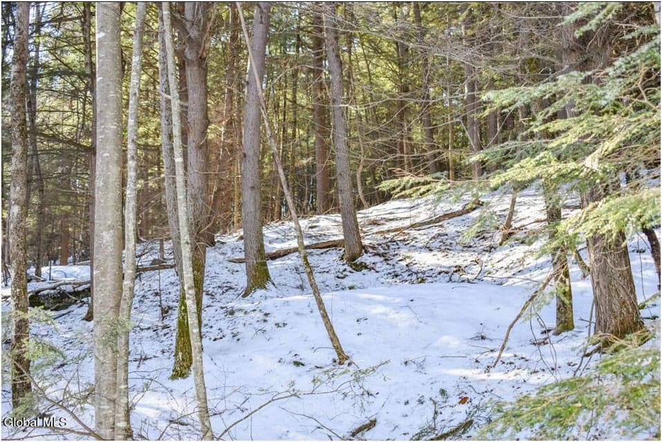 20 Carriage Knolls Road, Chester, NY, photo 2