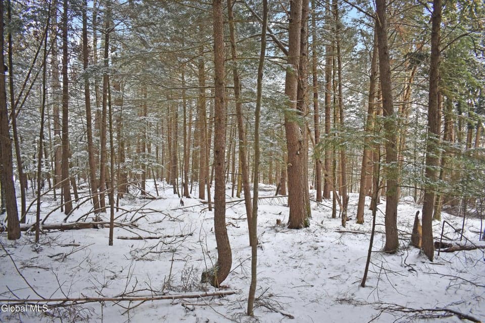 22 Carriage Knolls Road, Chester, NY, photo 4