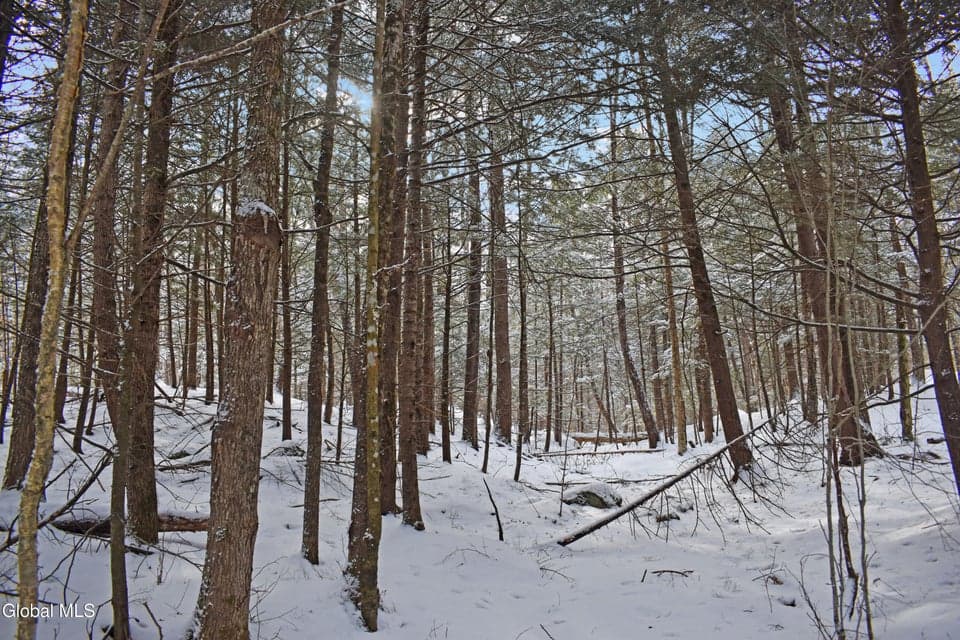 60 Carriage Knolls Road, Chester, NY, photo 5