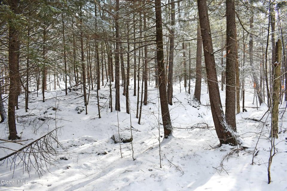 60 Carriage Knolls Road, Chester, NY, photo 4