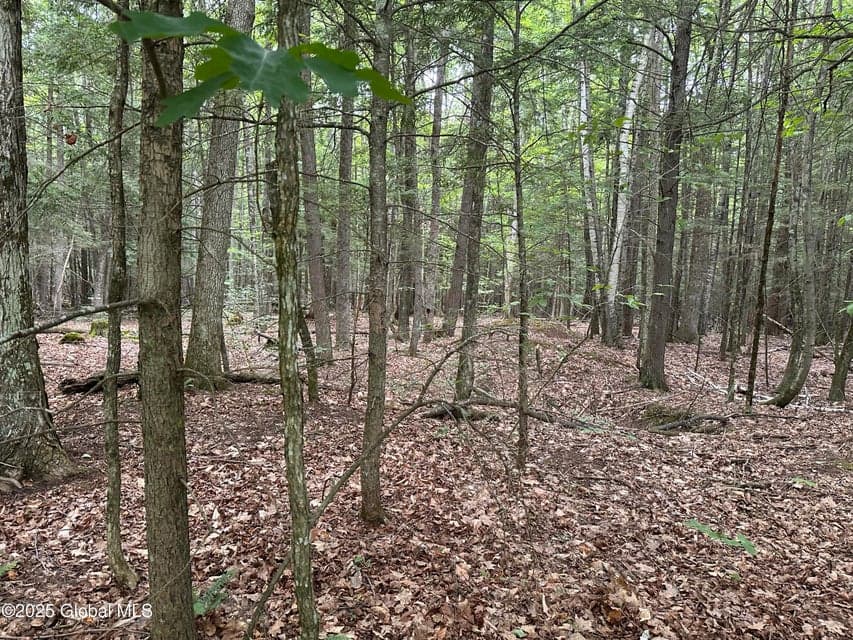 2 Diamond Ridge Road, photo 3