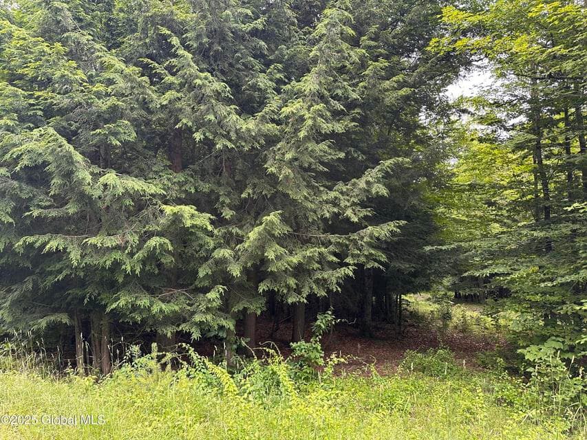 2 Diamond Ridge Road, photo 4