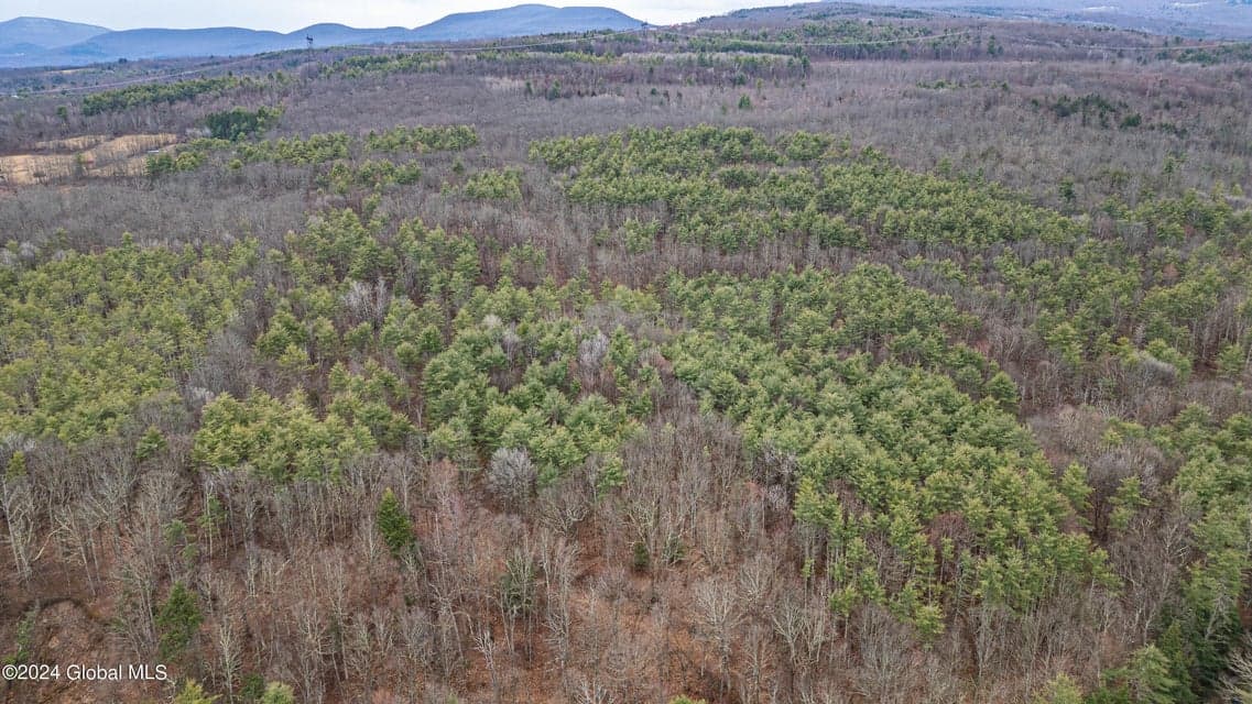 4875-4879 Potter Hollow Road, photo 4