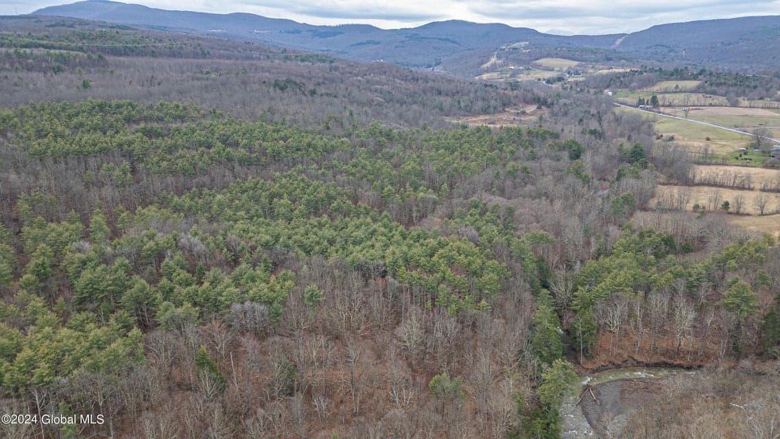 4875-4879 Potter Hollow Road, photo 5