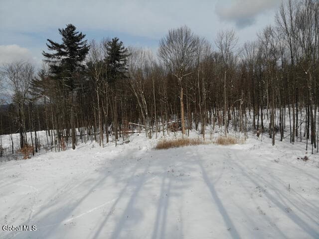 34 Lincoln Mountain Road, photo 5