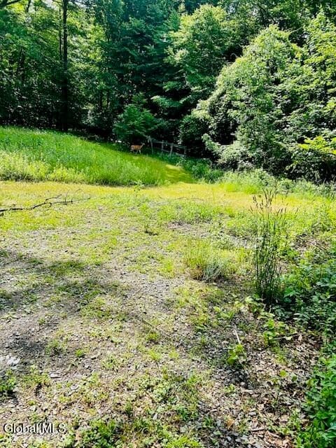 2600 Rosendale Road, photo 5