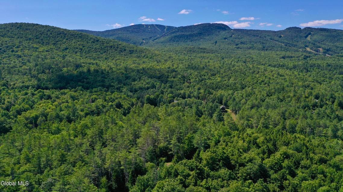 49 The Woods, photo 1