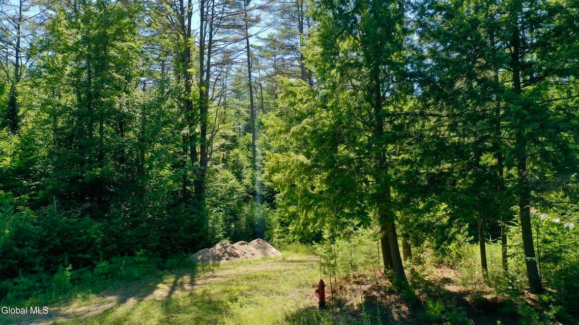 49 The Woods, photo 2