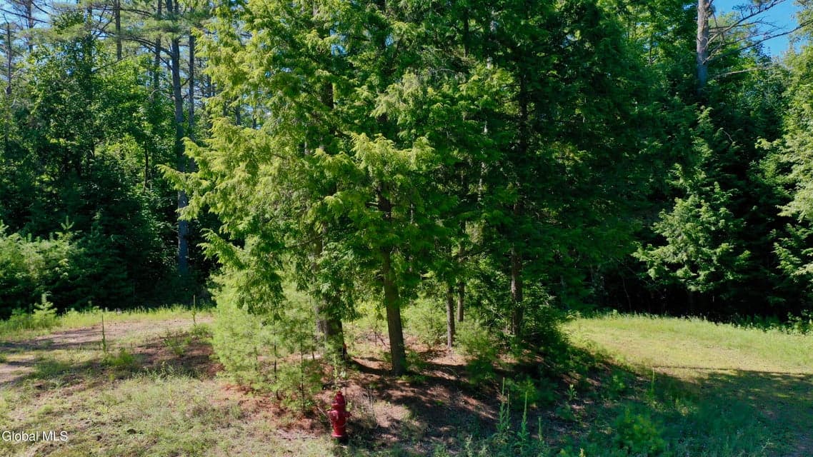 49 The Woods, photo 3