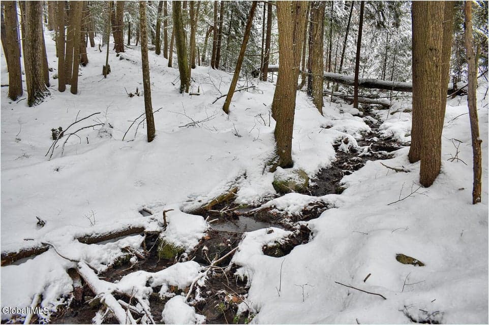 20 Brant Lake Creek Road, photo 4