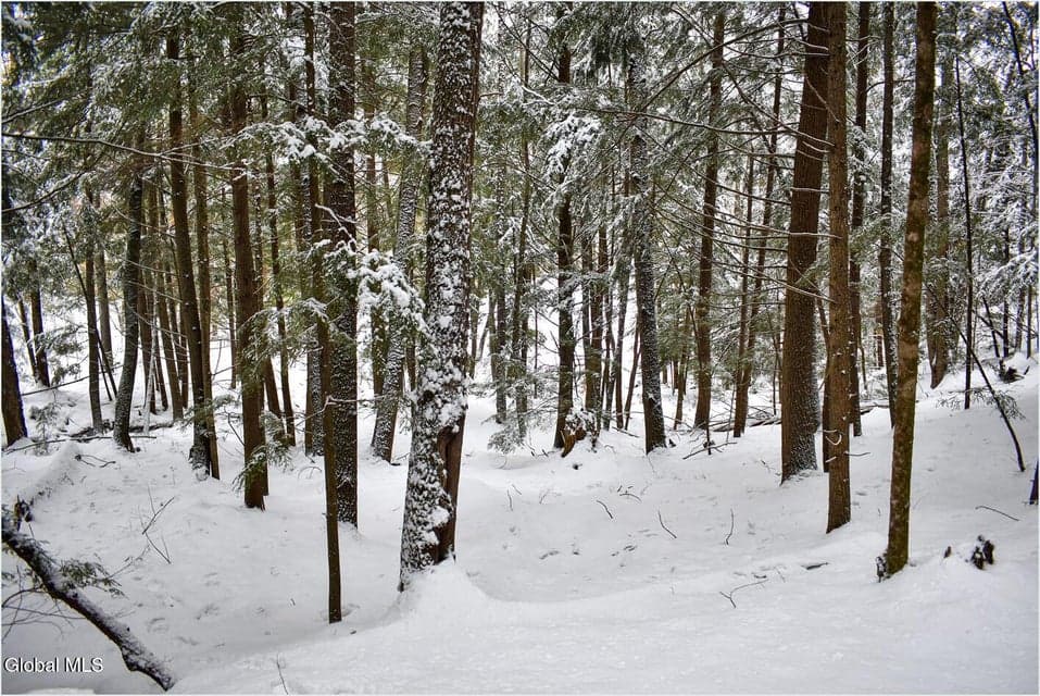 20 Brant Lake Creek Road, photo 5