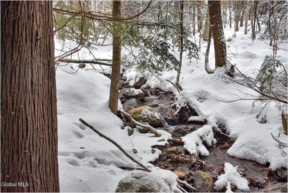 20 Brant Lake Creek Road, photo 3