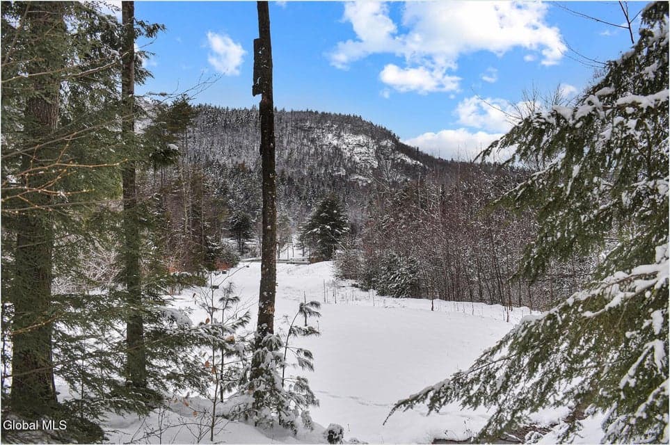 20 Brant Lake Creek Road, photo 2