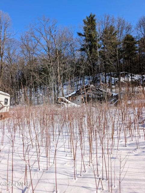 72 Warner Hill Road, Ticonderoga, NY, photo 5
