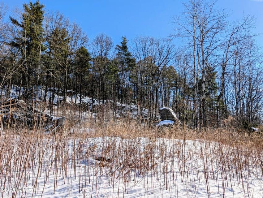 72 Warner Hill Road, Ticonderoga, NY, photo 4