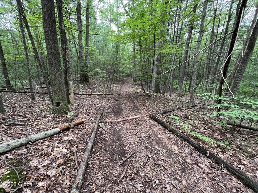 L19.22 Homestead Road, photo 3
