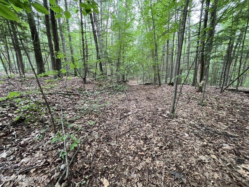 L19.22 Homestead Road, photo 4