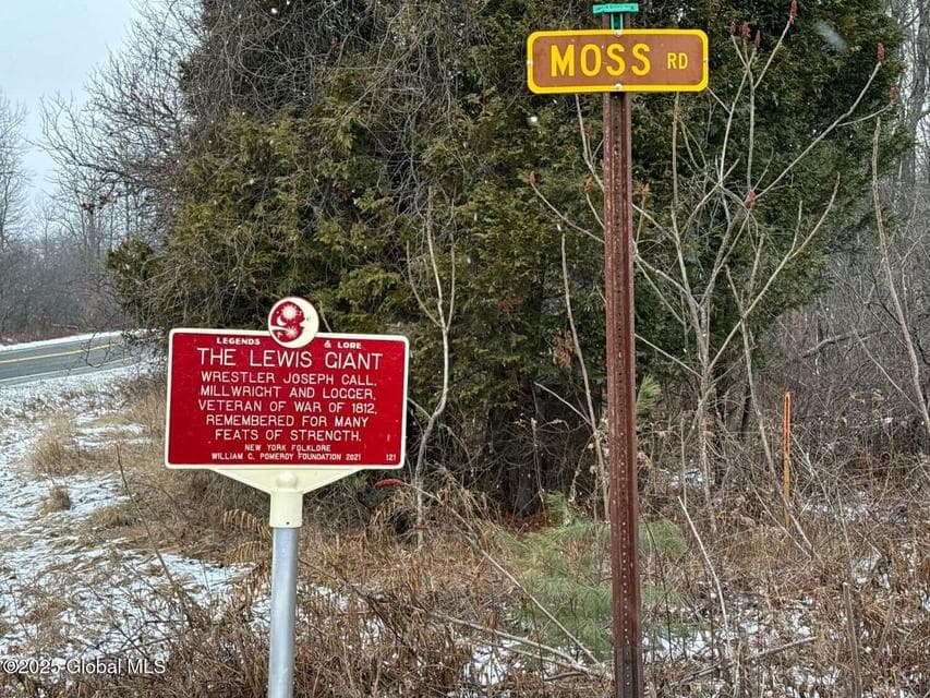 L37.100 Moss Road, Lewis, NY, photo 3