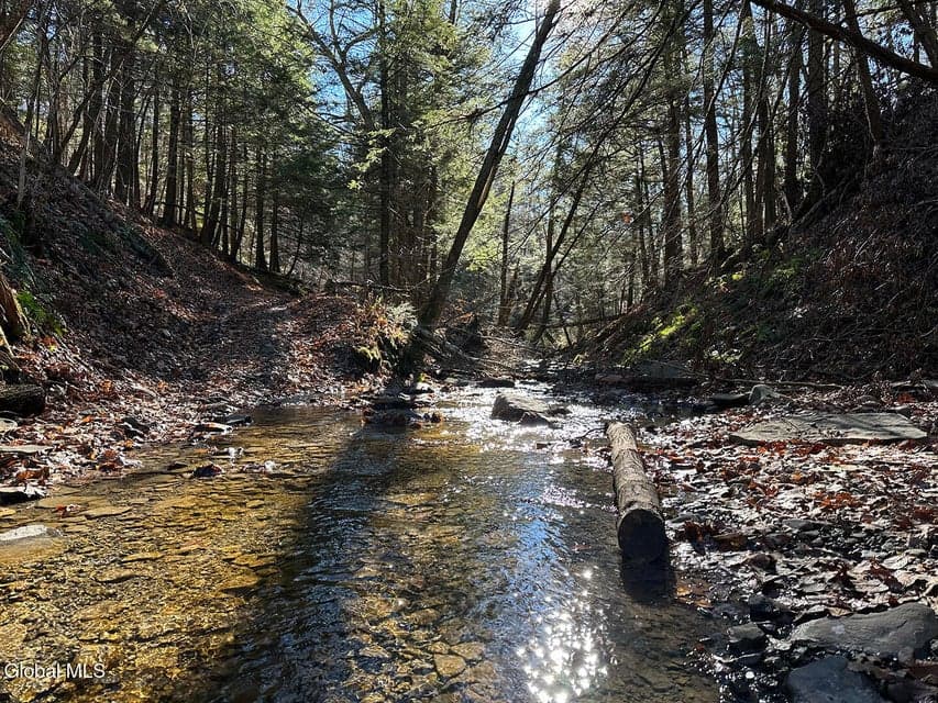 0 Gorge Road, photo 3