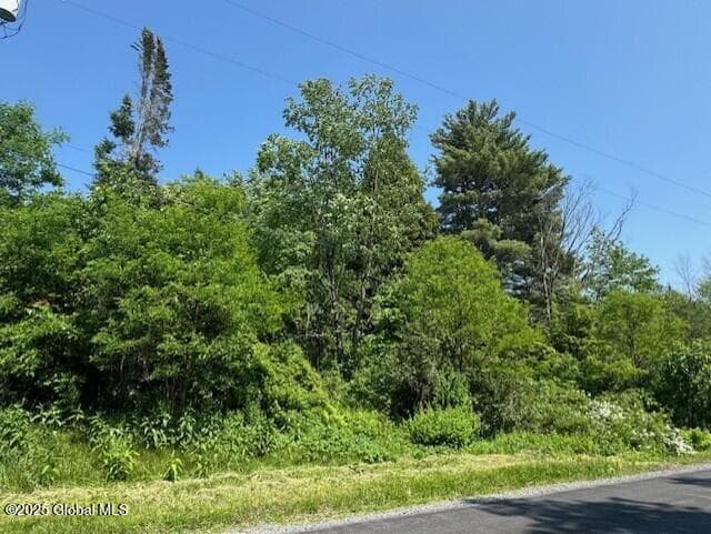 185 Finley Road, photo 3