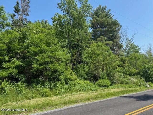 185 Finley Road, photo 4