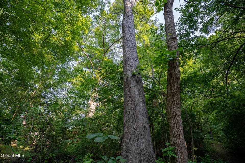 47 Wheeler Road, photo 3