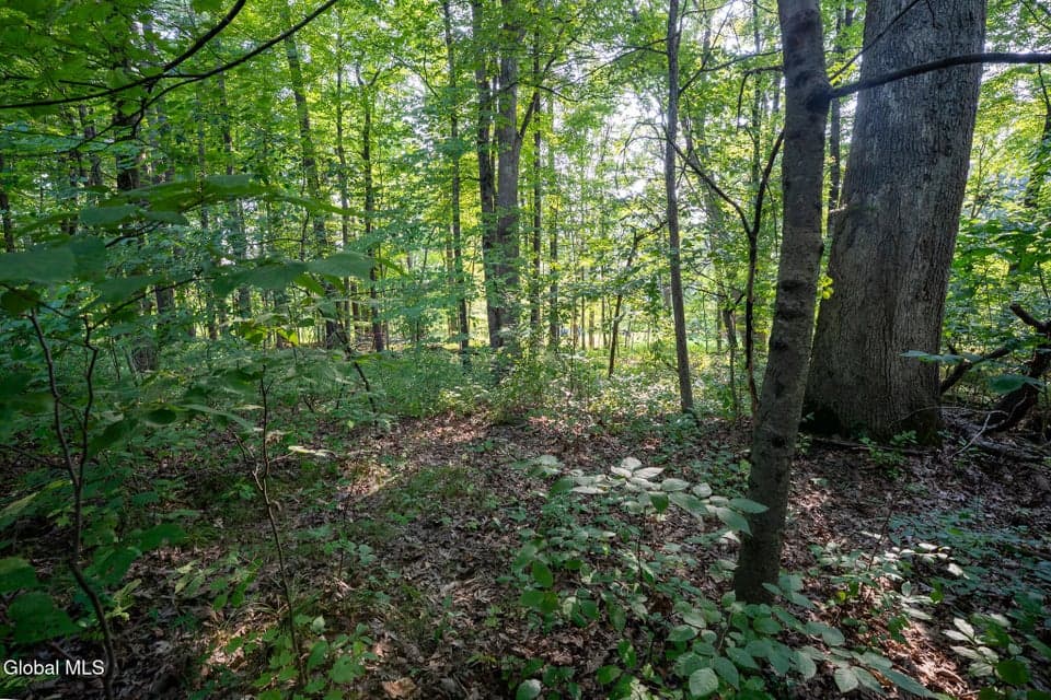 47 Wheeler Road, photo 4