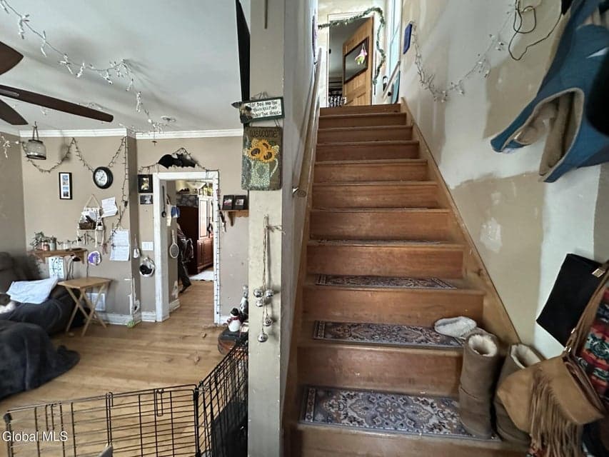 6 Hempton Street, photo 5
