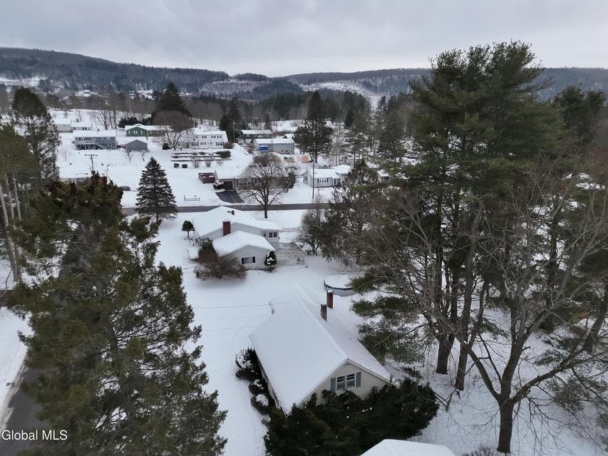 20 Sharon Street, Sidney, NY, photo 4