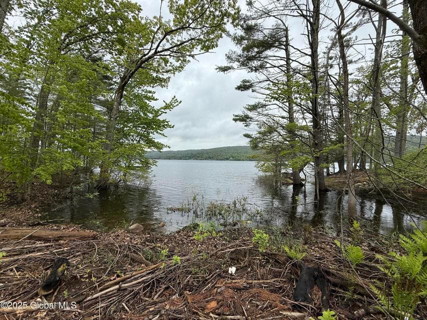 1569 S Shore Road, photo 4