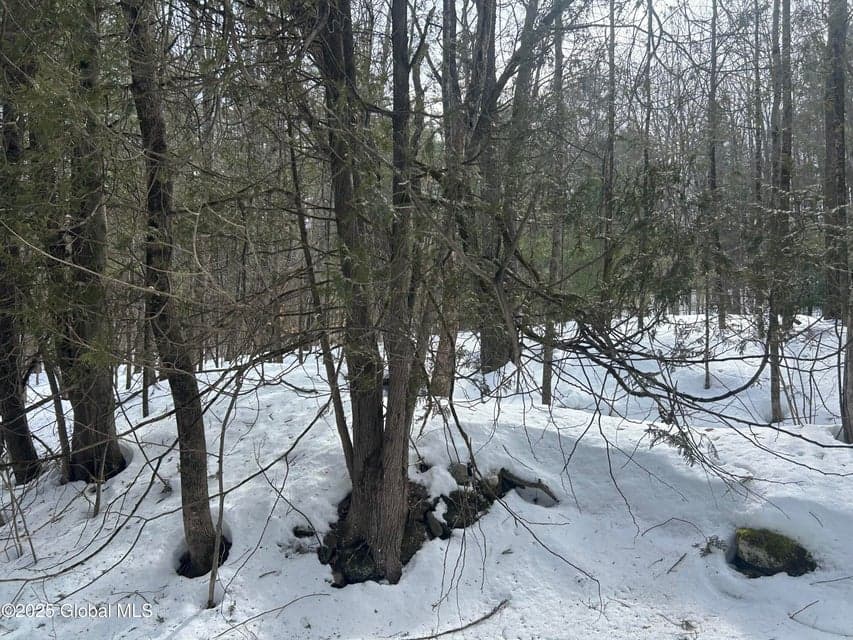 L26 Hogback Road, Crown Point, NY, photo 3