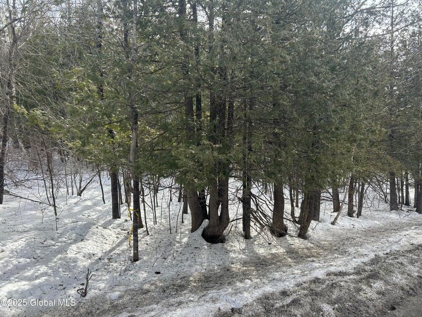 L24 Hogback Road, photo 1
