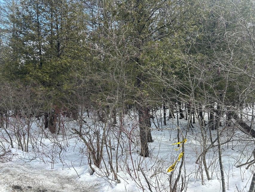 L24 Hogback Road, photo 4